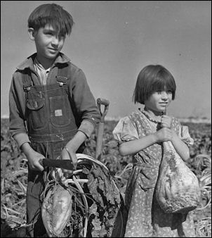 20120526-sugar -Children_and_Sugar_beets_Nebraska_1940.jpg
